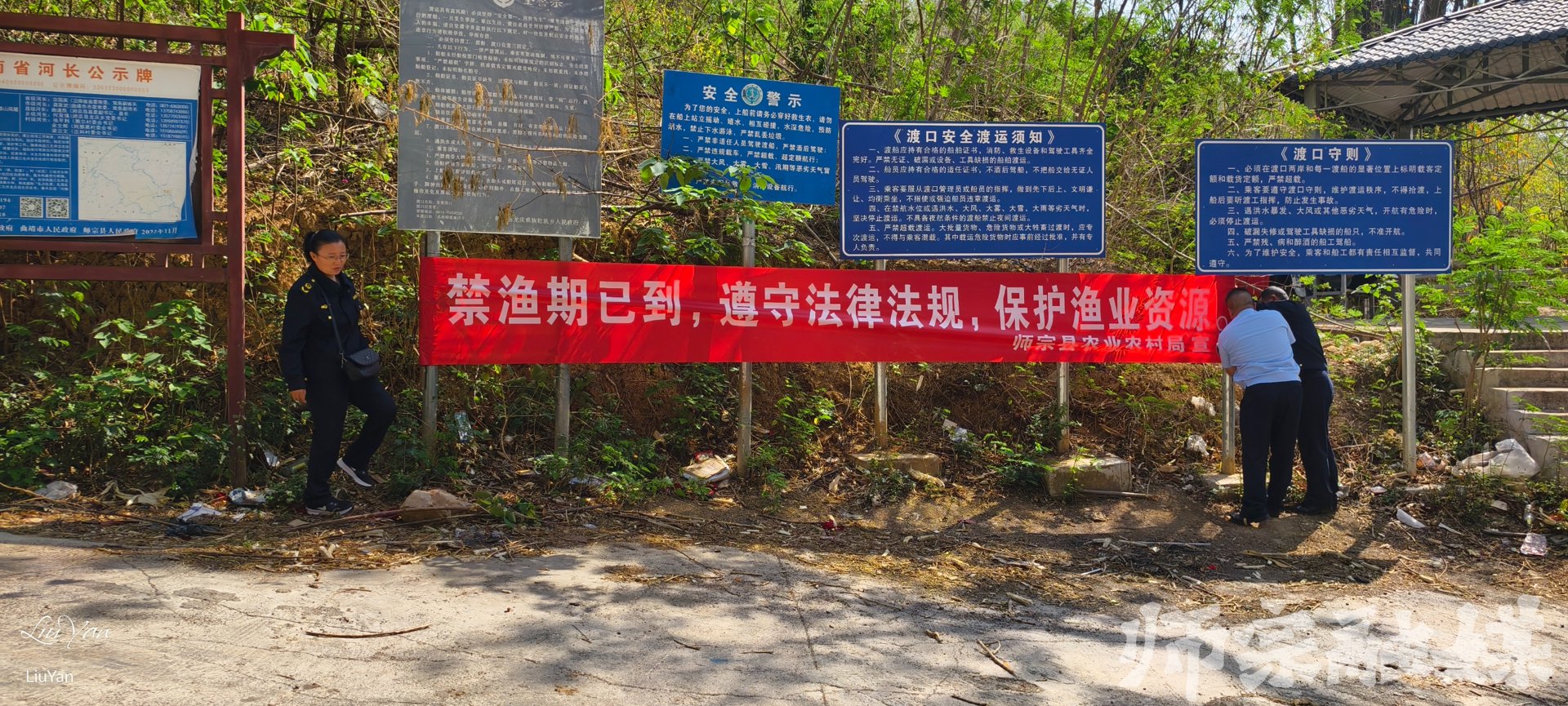 新兴牛羊养殖